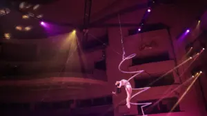 Nouveau cirque de Noël du Coliseu do Porto amène Cícero comme maître de cérémonie.