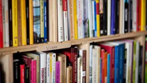 Pas d'idées ? Dix livres à dévorer cet hiver (ou à mettre dans le chausson)