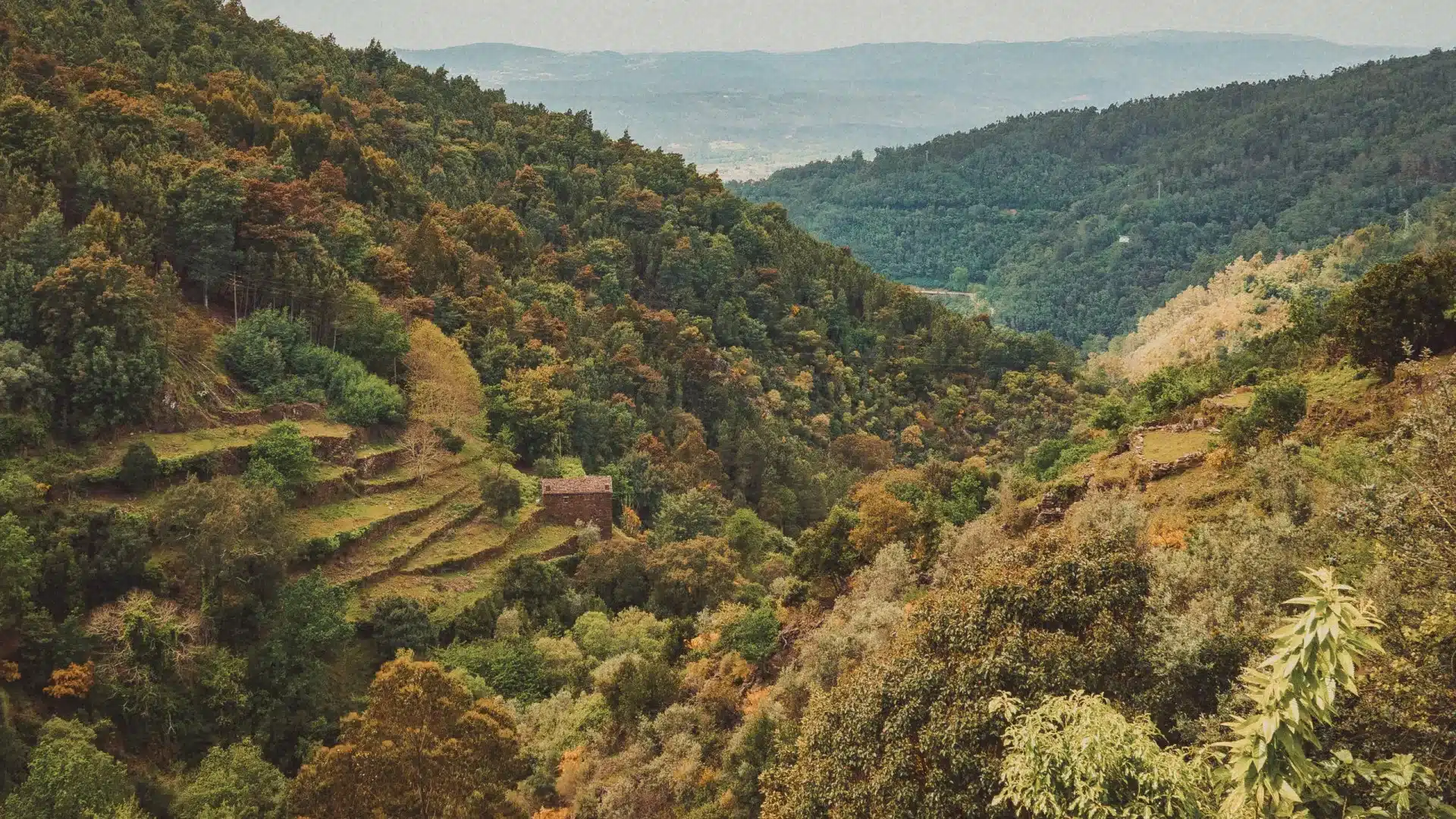Personne âgée disparue à Lousã depuis 3 jours. Il connaît la montagne mais "aurait pu tomber".