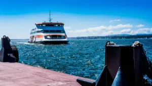 Pétition pour inclure la traversée Setúbal-Troia dans le Navegante examinée