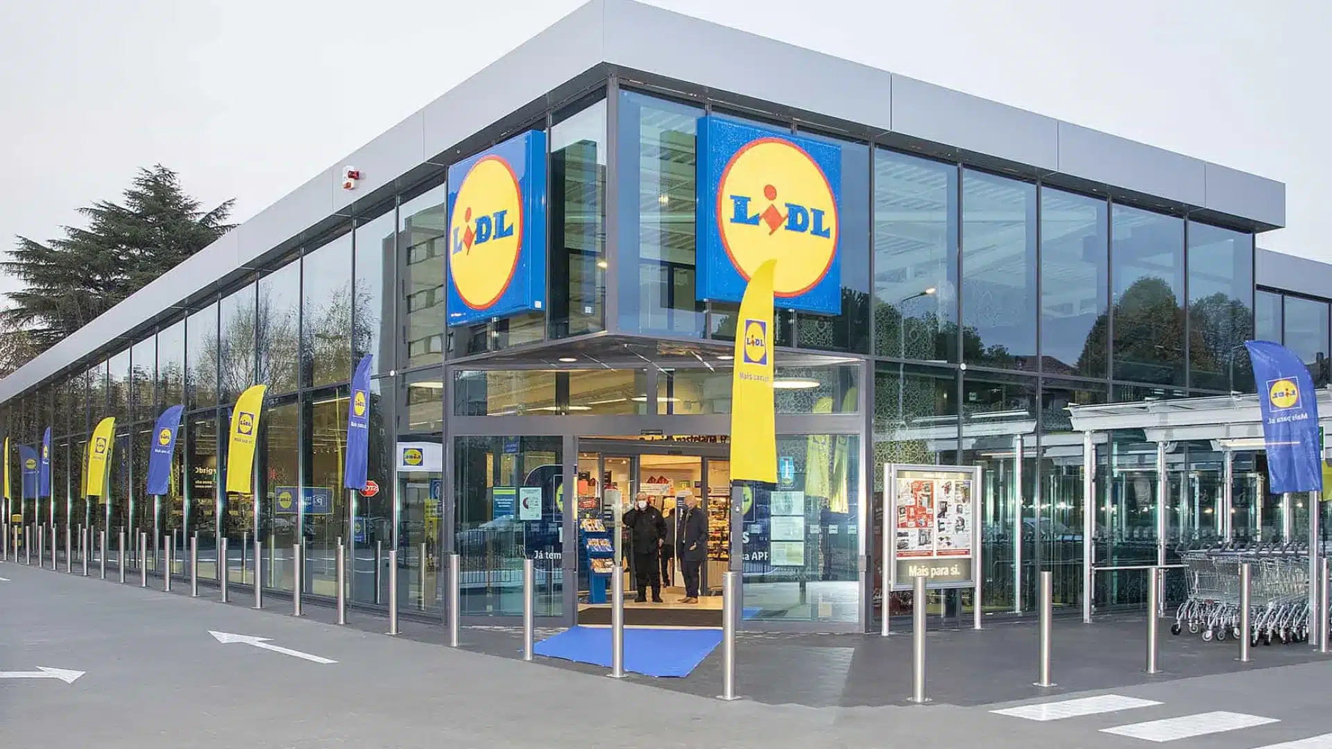 "Plus grand investissement salarial". Lidl augmente le salaire d'entrée à 1.000€