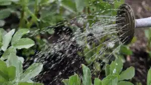 Projets agrophotovoltaïques et voitures électriques soutenus par le Fonds Environnemental