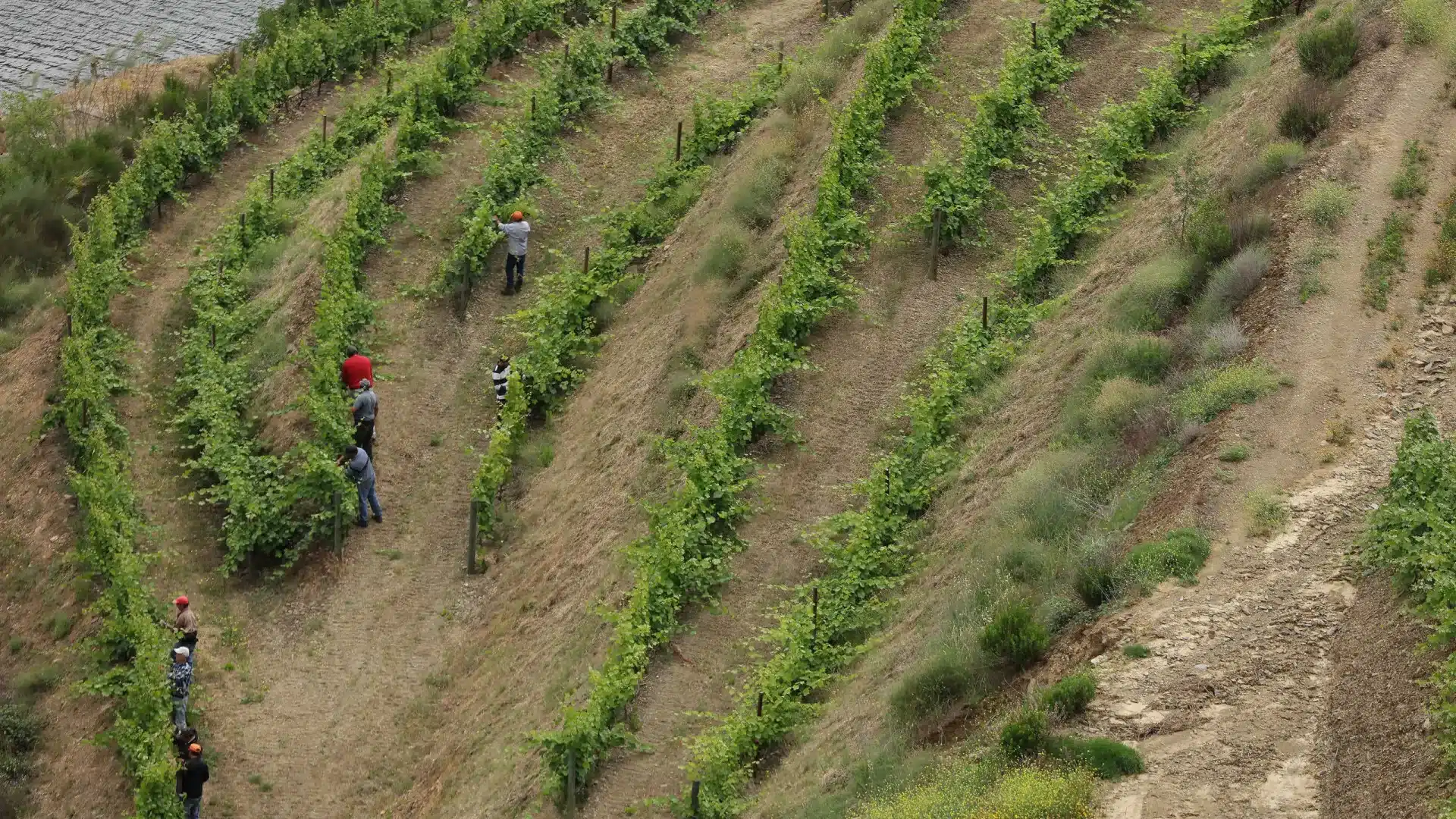 Proposition pour un plan d'action pour le Douro présenté jusqu'au 31 mars.