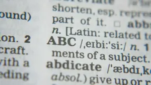 "Sacar" a été le mot le plus recherché dans le dictionnaire Priberam en 2025.