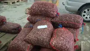 Saisies de 2,5 tonnes de palourdes japonaises dans un entrepôt clandestin.