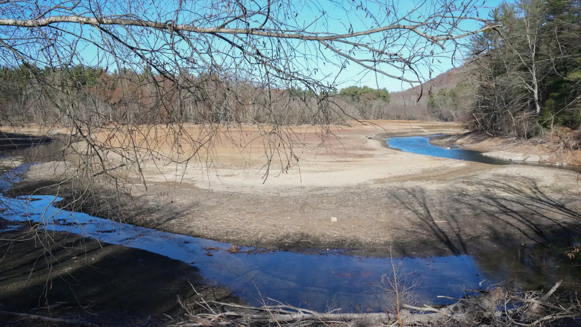 Sécheresse et pluies intenses "plus grande menace" pour les oiseaux de la Méditerranée