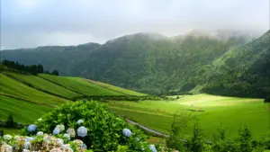 Séisme de magnitude 1,5 ressenti sur l'île de Terceira