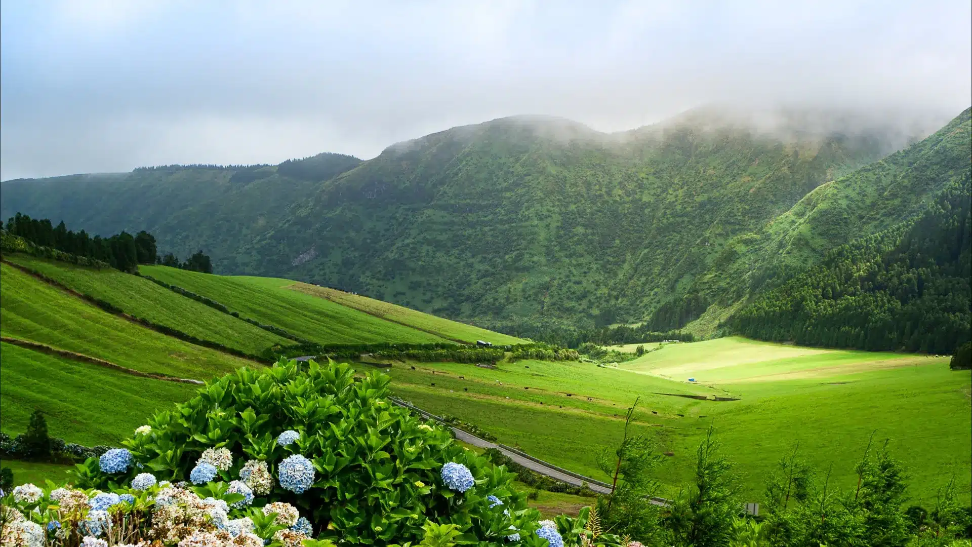 Séisme de magnitude 1,5 ressenti sur l'île de Terceira