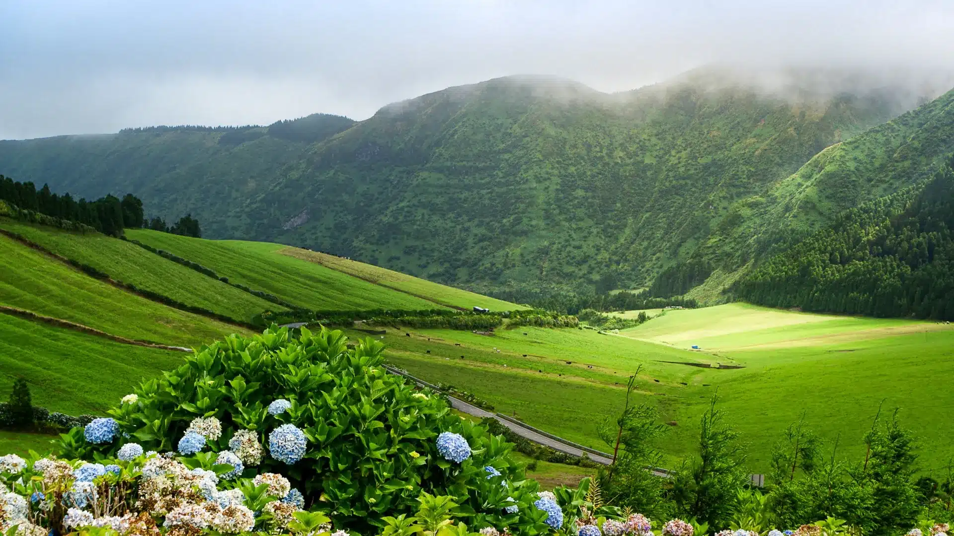 Séisme de magnitude 4,4 sur l'échelle de Richter ressenti sur l'île de Terceira.
