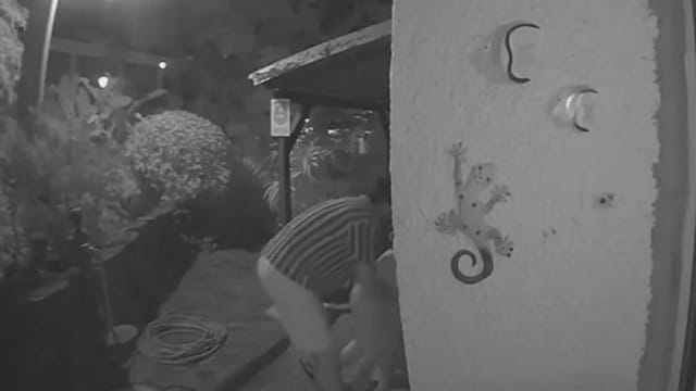 Tribunal de la Relation maintient le bracelet électronique pour un pompier de Machico