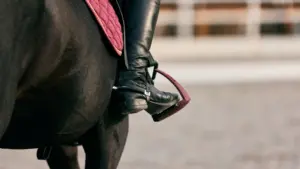 Un chevalier arrêté pour pédophilie s'est porté candidat pour Chega lors de 2 élections municipales.