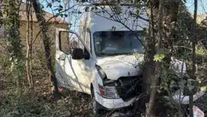 Un Portugais abattu par des agents de l'ICE aux États-Unis