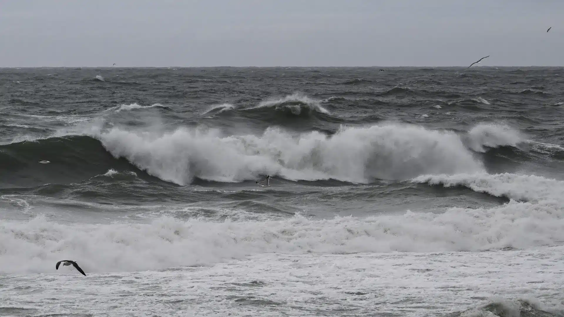 Week-end de pluie et mer agitée. Que provoque la dépression Davide ?