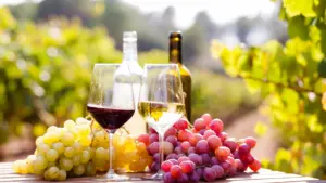 Accord UE/Mercosul ? La CAP souligne l'impact significatif sur le vin et l'huile d'olive.