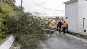 Alcácer do Sal va demander au gouvernement de décréter l'état de calamité.