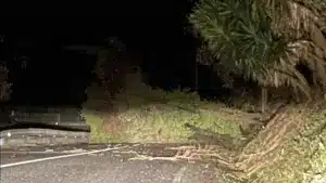 Arbres sur les routes, structures et Kristin : Les images des dégâts