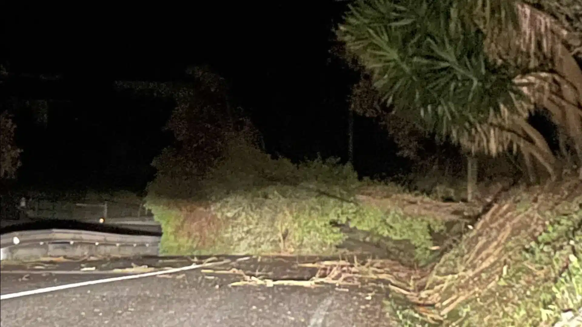 Arbres sur les routes, structures et Kristin : Les images des dégâts