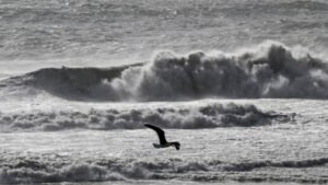 Attention ! Joseph met le pays en alerte (il y a de la pluie, du vent, des vagues et de la neige)