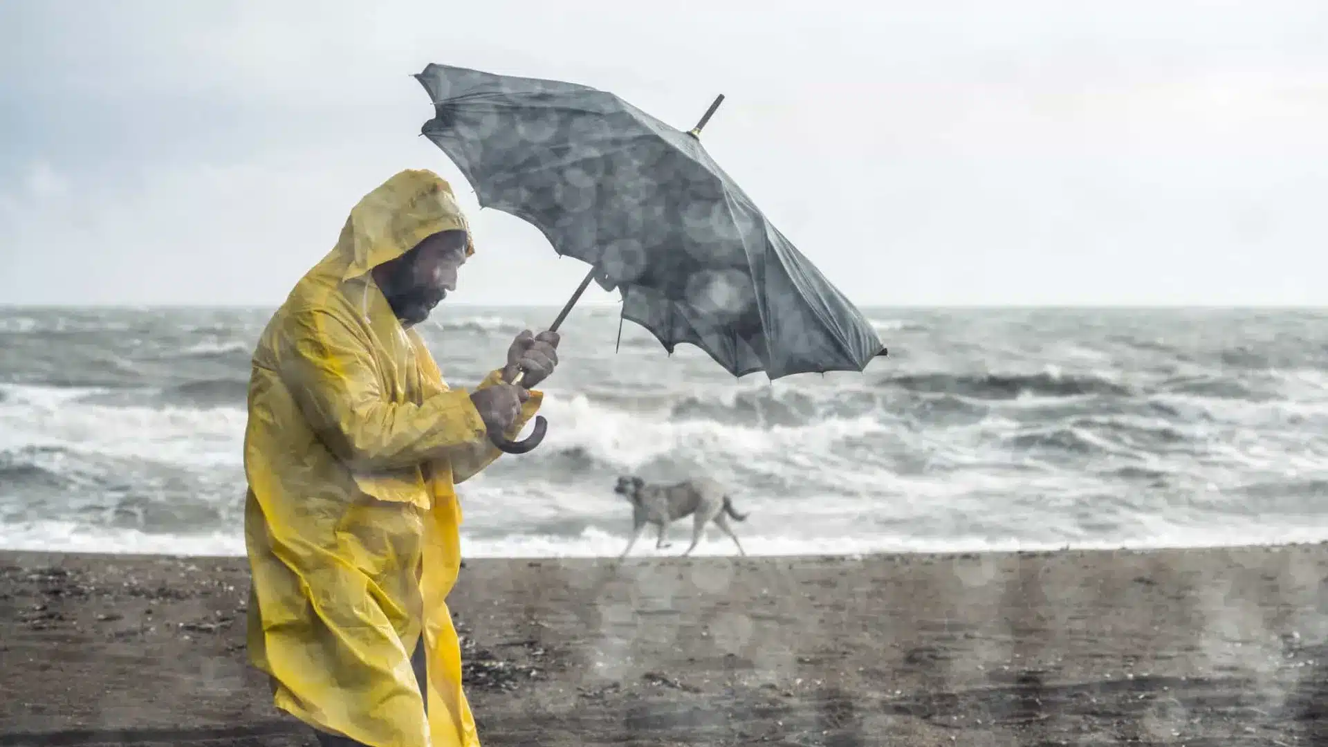Avertissement prolongé de forte agitation maritime pour Madère
