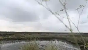 Chute d’un véhicule dans la rivière à Oliveira de Frades tue un jeune de 18 ans.