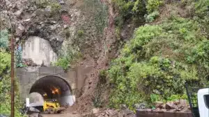 Chutes d'arbres et rafales de 117 km/h. La dépression Francis ravage Madère.