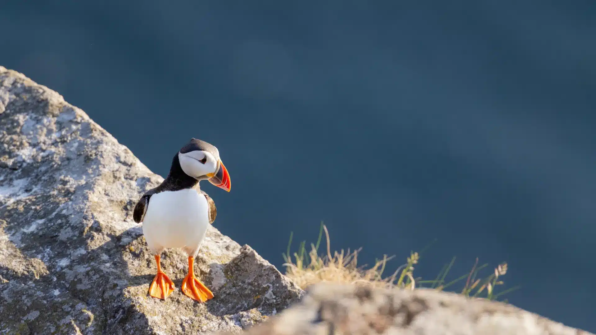 Des chercheurs veulent un Observatoire Côtier de l'Atlantique Nord