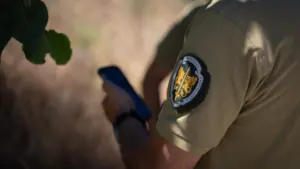 GNR a dressé des procès-verbaux à 120 municipalités pour manque de nettoyage des terrains.