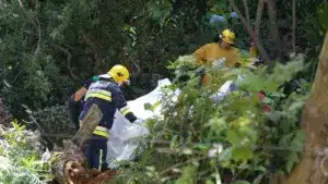 Homme de 55 ans meurt à Felgueiras, frappé par un arbre.
