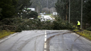 Homme disparaît dans le Rio Balsemão à Lamego. Il aurait été emporté.