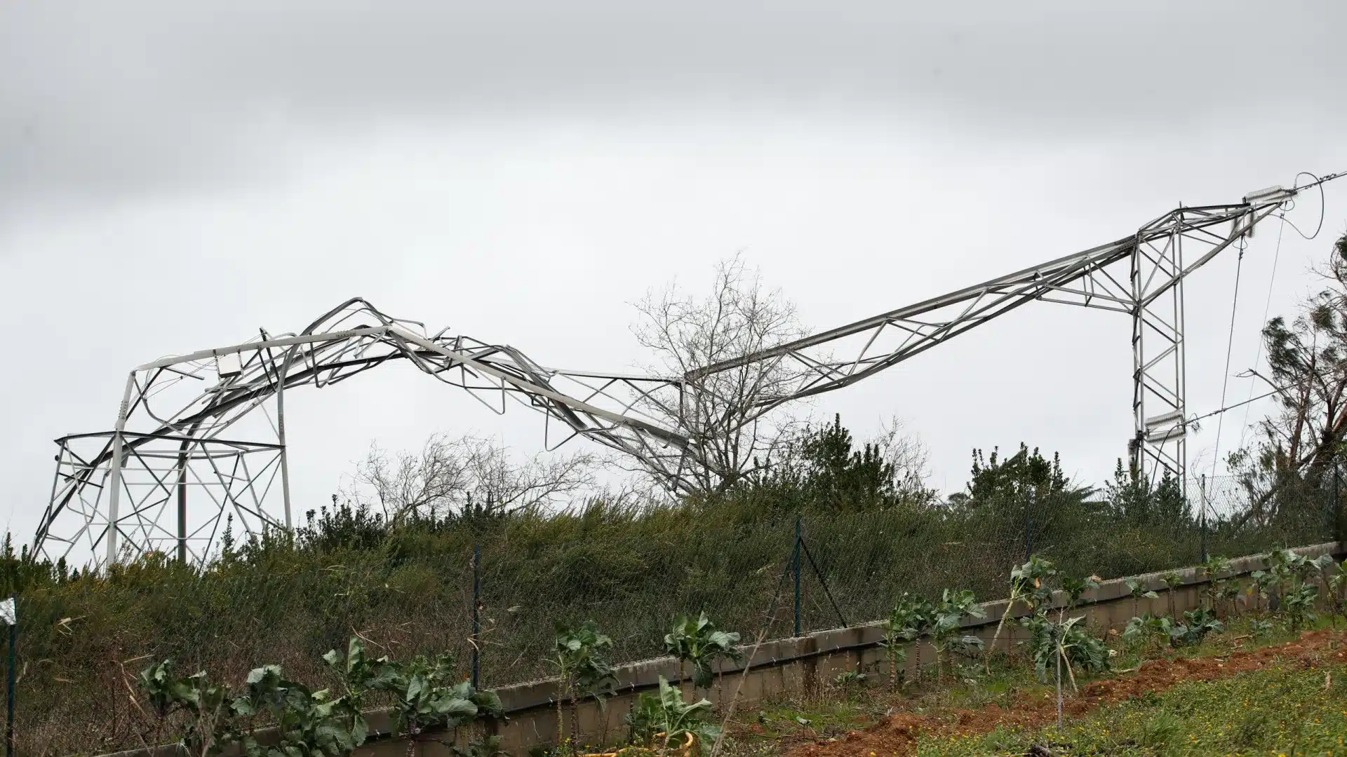 Il y a encore environ 408 mille clients de E-Redes sans électricité.