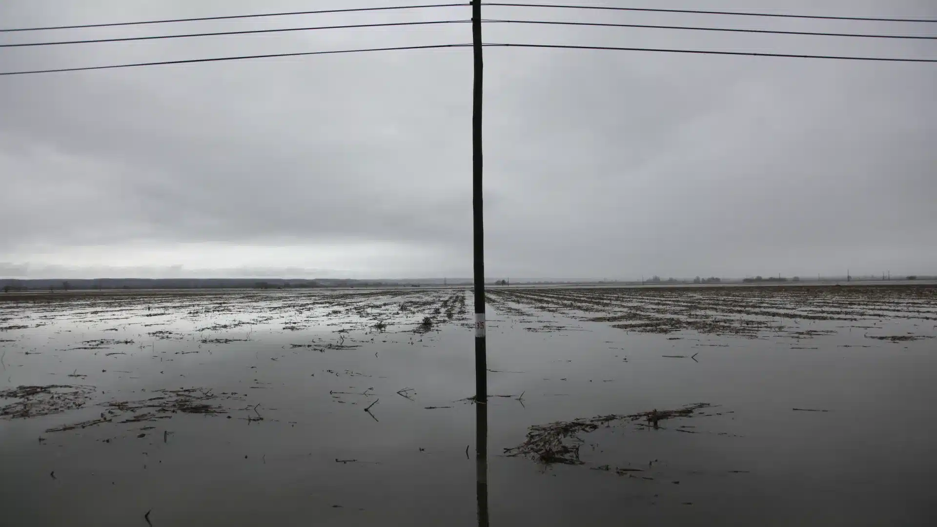 Inondations sur le Tage ? Plan d'urgence activé après l'inondation des routes