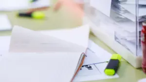 Inspecteurs du travail en grève le 27 janvier