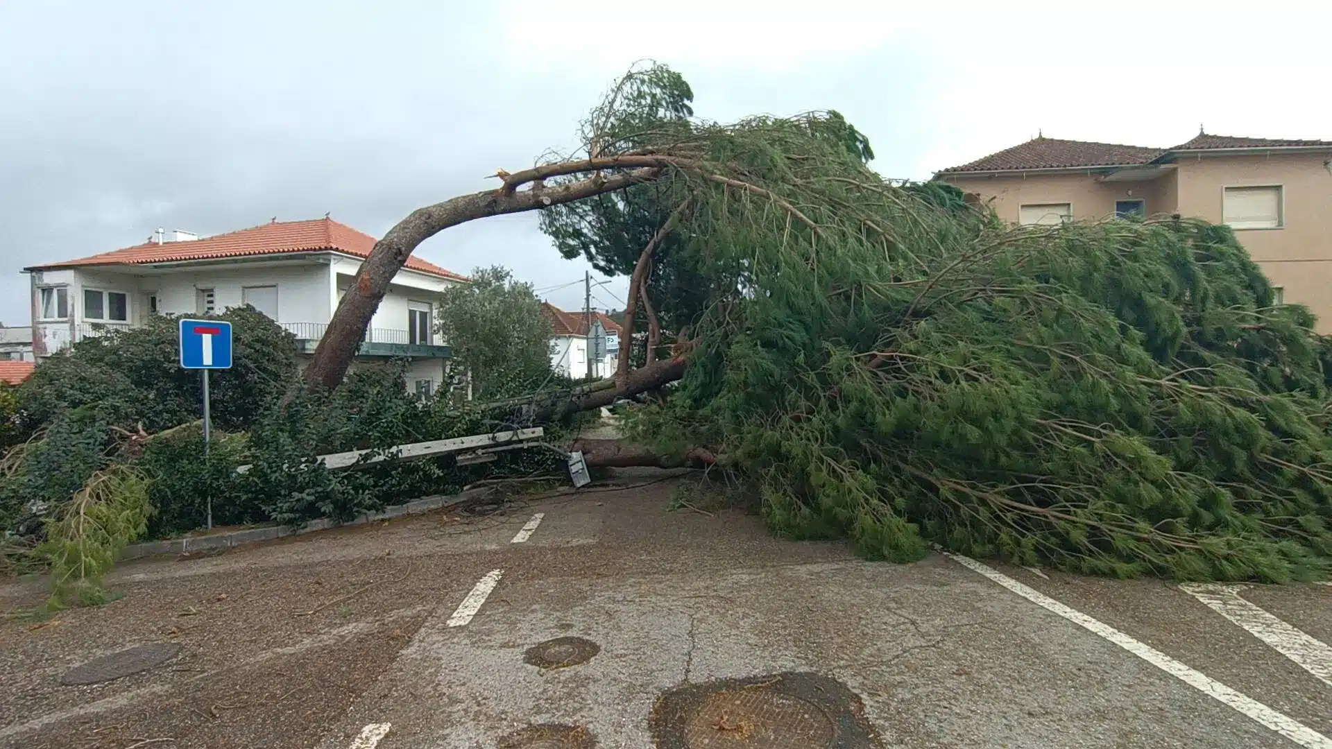 Kristin laisse derrière elle la destruction : Leiria est parmi les districts les plus touchés. Les photos