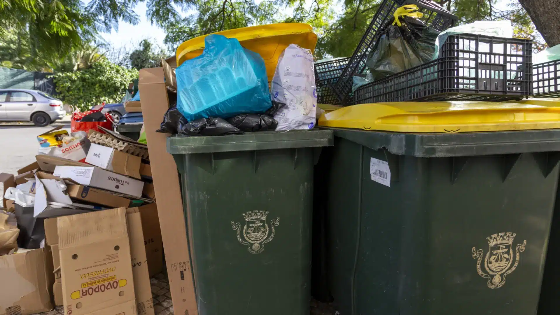 La gestion des déchets sera l'un des plus grands défis en 2026, indique Quercus.