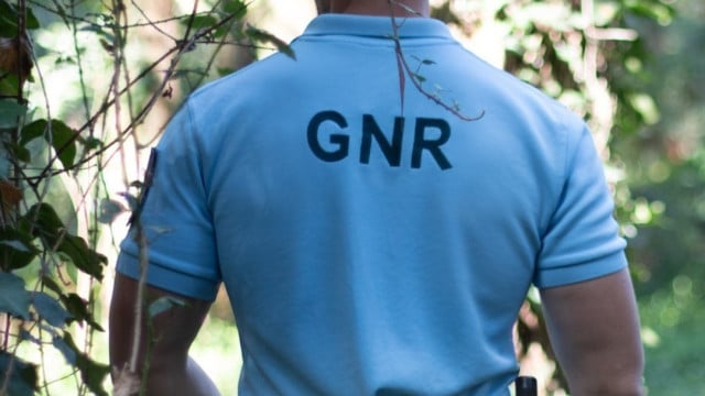 La GNR a inspecté plus de 100 établissements dans le pays (et a effectué des saisies).
