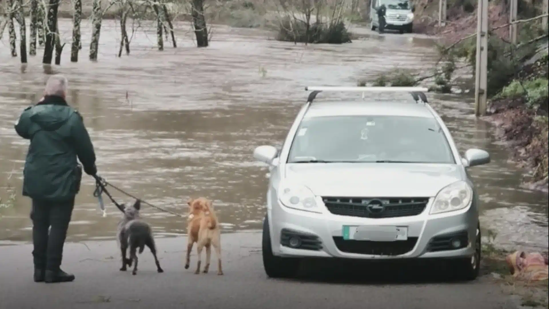 La GNR sauve 25 chiens d'un chenil de Gondomar en raison du débit du fleuve Sousa.