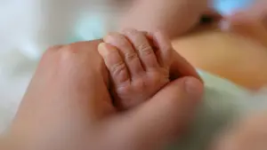 La maternité de l'USL de Guarda a enregistré 517 naissances en 2025.