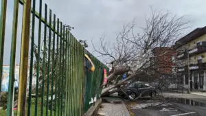 La municipalité de Leiria installe des générateurs et fournit de l'eau avec des citernes.