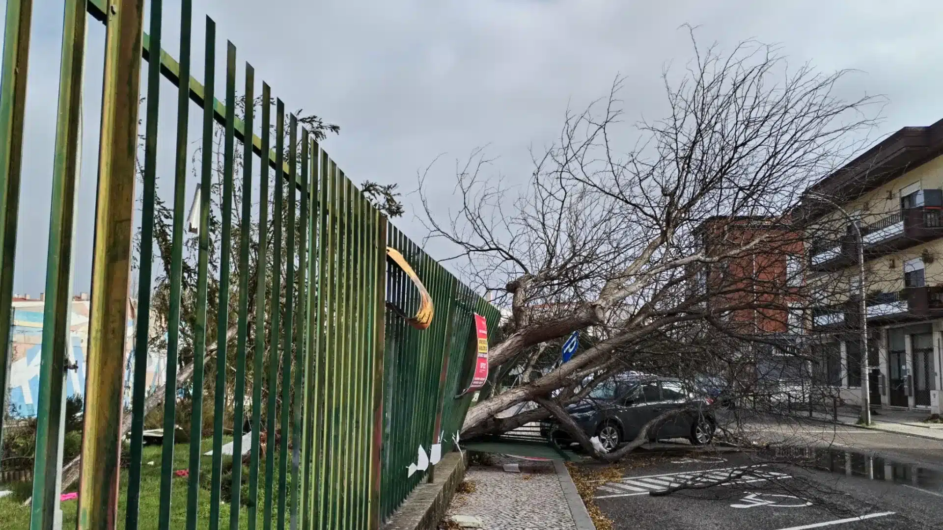 La municipalité de Leiria installe des générateurs et fournit de l'eau avec des citernes.