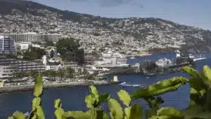 La Protection Civile a enregistré 52 incidents dans l'archipel de Madère.