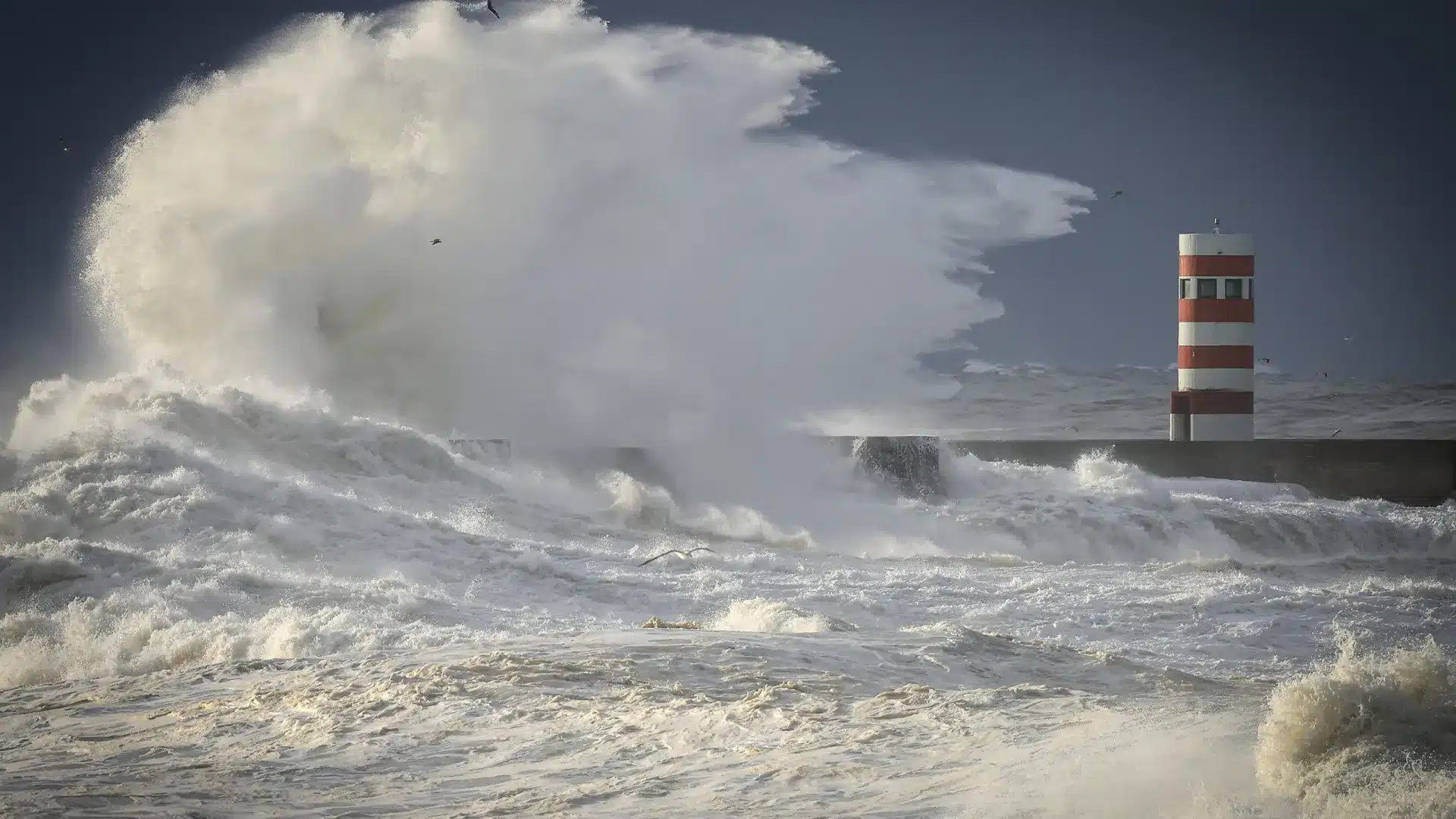 L'agitation laisse dix districts en rouge : Les vagues pourraient atteindre 15 mètres.