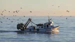 Le gouvernement crée le statut du jeune pêcheur.