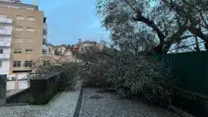 Le maire de Leiria avertit que l'anxiété des gens est en augmentation.