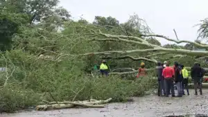 Le Portugal en contact avec le Mozambique pour mobiliser des soutiens face aux inondations.