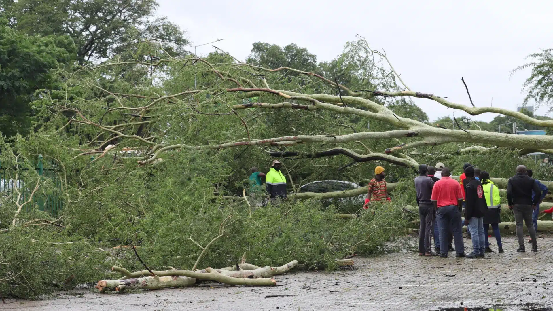 Le Portugal en contact avec le Mozambique pour mobiliser des soutiens face aux inondations.