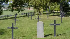 Le Portugal enregistre plus de décès en 2025, mais les décès infantiles ont diminué.