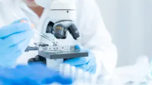 Le Portugal obtient deux bourses supplémentaires du Conseil européen de la recherche.