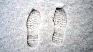 Les élèves de Vimioso rentrent chez eux plus tôt en raison de la neige et du verglas.