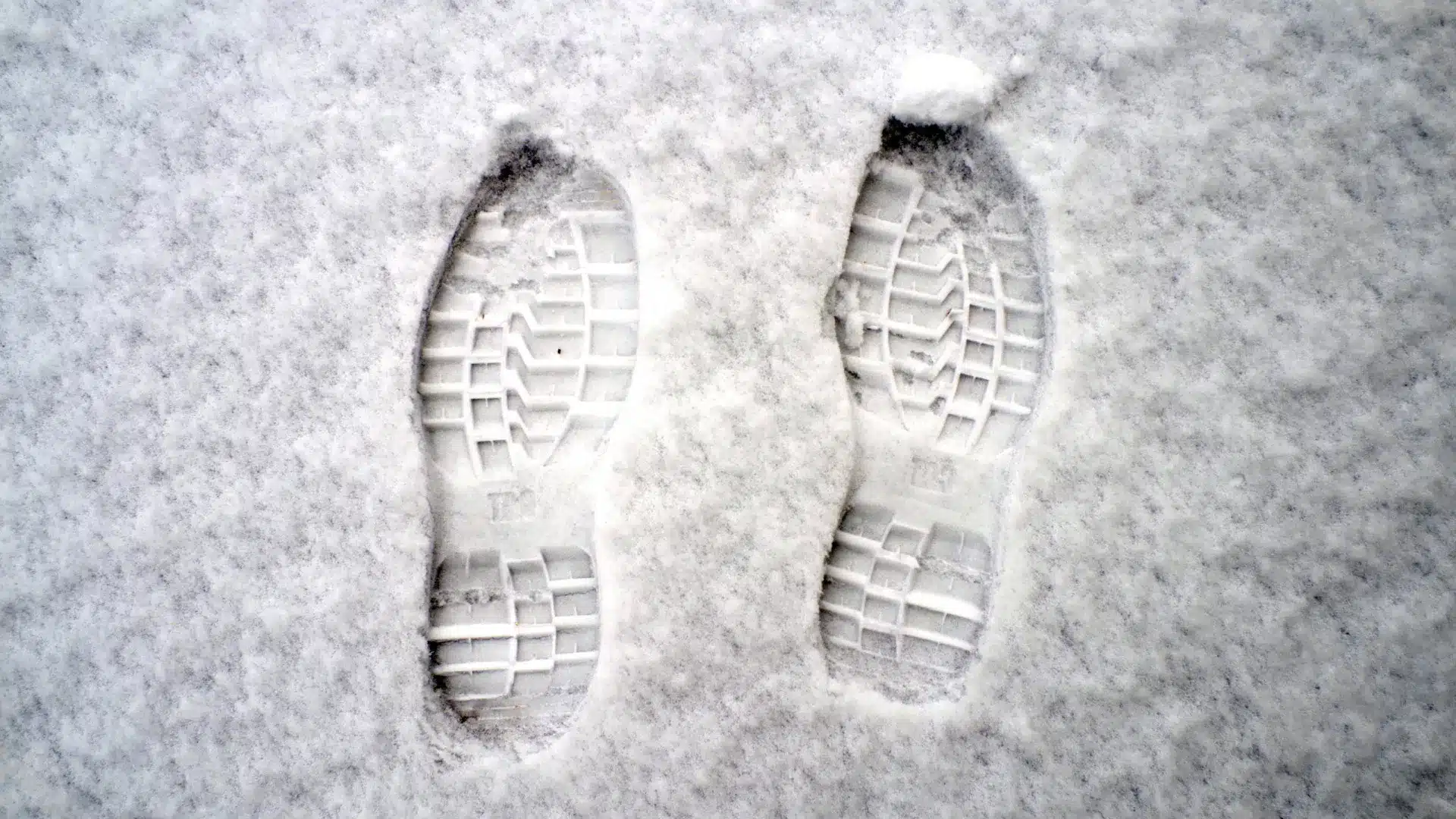 Les élèves de Vimioso rentrent chez eux plus tôt en raison de la neige et du verglas.