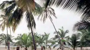 Les prix pour les touristes ont augmenté de 5,9 % au Cap-Vert au 4e trimestre de 2025.